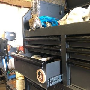 Meet your Posher, Samuel